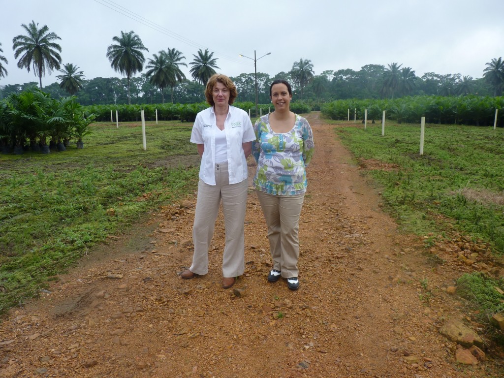 Ecuador palm oil plantation back in 2014 with Sharon Ratcliffe, PBS International